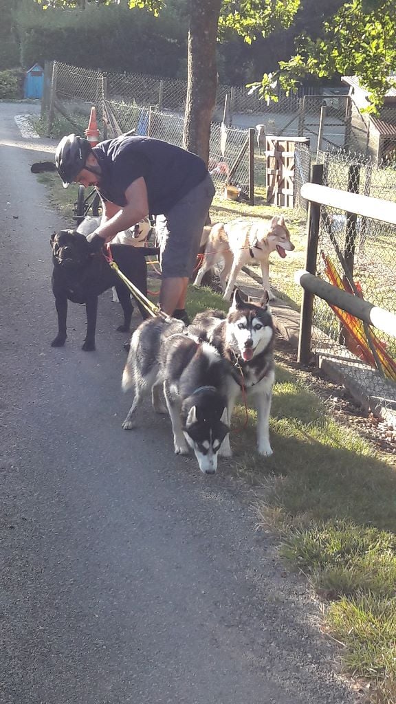 Mamamia De La Colline Du Bonheur