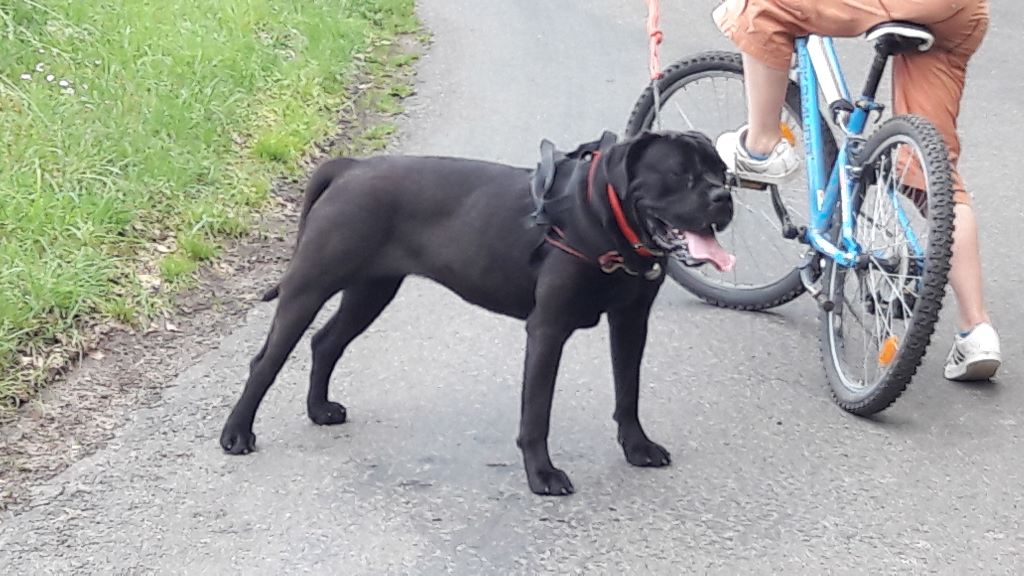 Mamamia De La Colline Du Bonheur