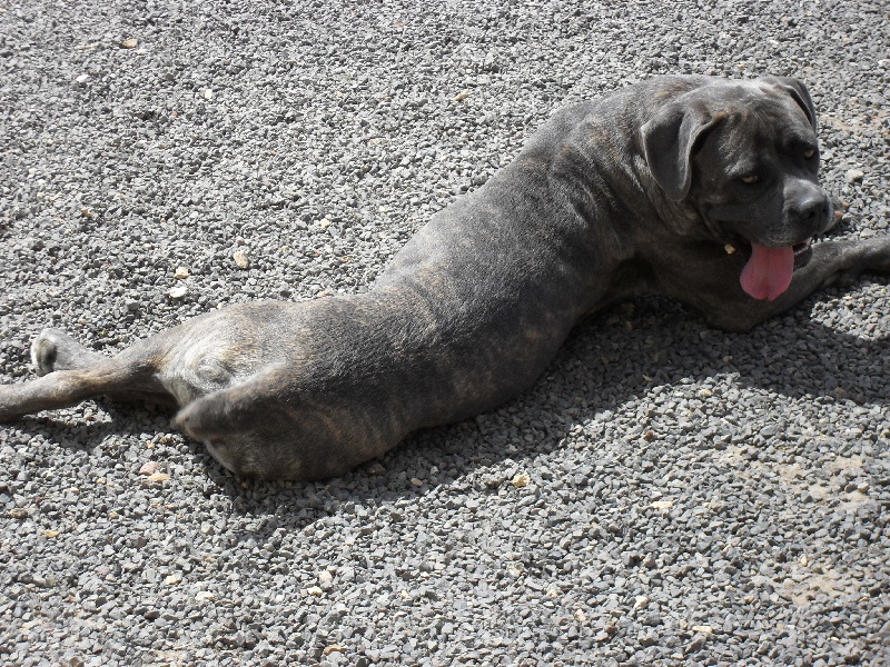 Publication : Des Veilleurs De Saint Michel Auteur : Céline Papillon