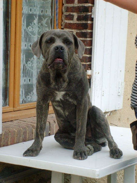 Publication : Des Veilleurs De Saint Michel Auteur : Céline Papillon