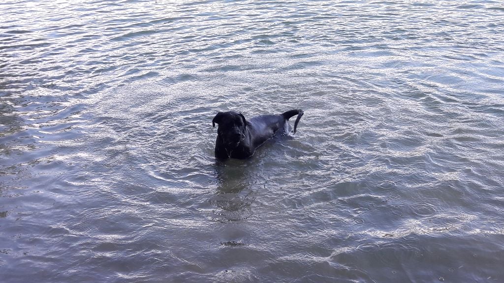 Mamamia De La Colline Du Bonheur