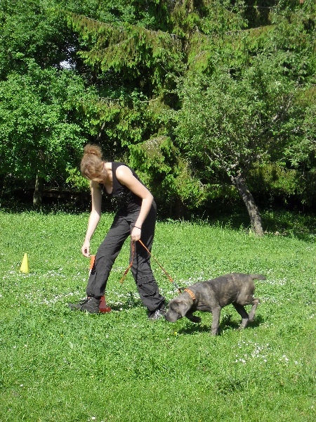 Publication : Des Veilleurs De Saint Michel Auteur : Céline Papillon