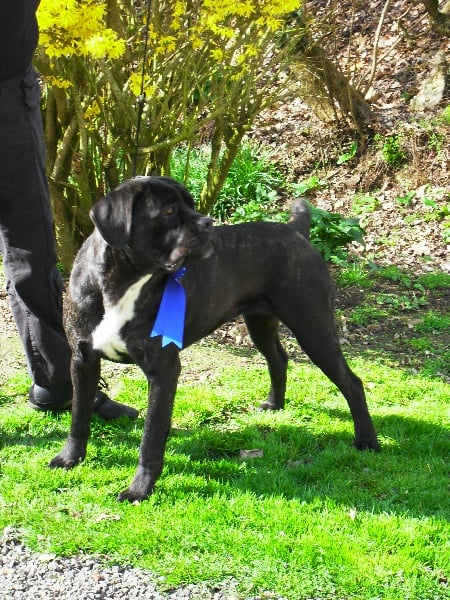 Farah des Gardiens du Panthéon