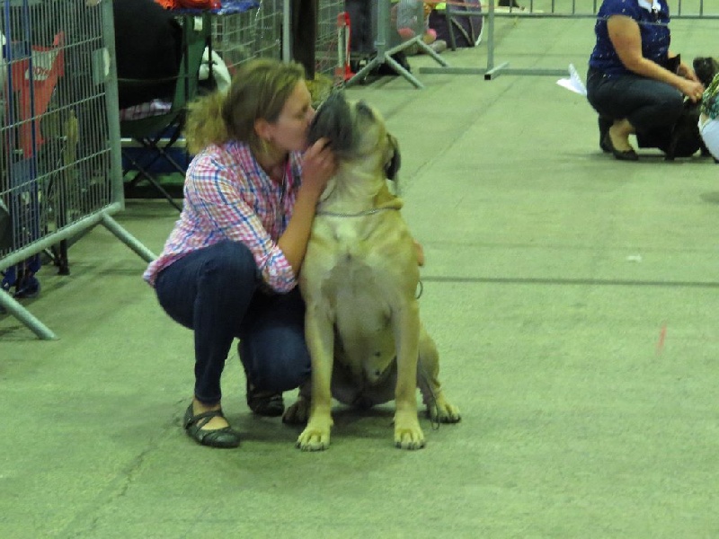 Indiana jones dite: jones Des Veilleurs De Saint Michel - 2ème EXCELLENT Classe OUVERTE RCACS