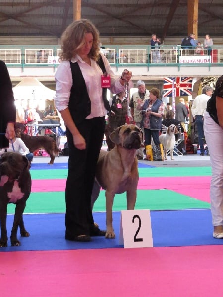 Indiana jones dite: jones Des Veilleurs De Saint Michel - 2ème EXCELLENT Classe Intermédiaire