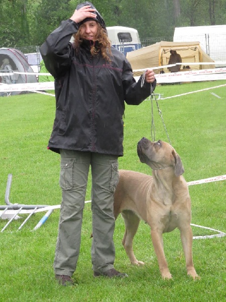 Indiana jones dite: jones Des Veilleurs De Saint Michel - 2ème EXCELLENT Classe OUVERTE