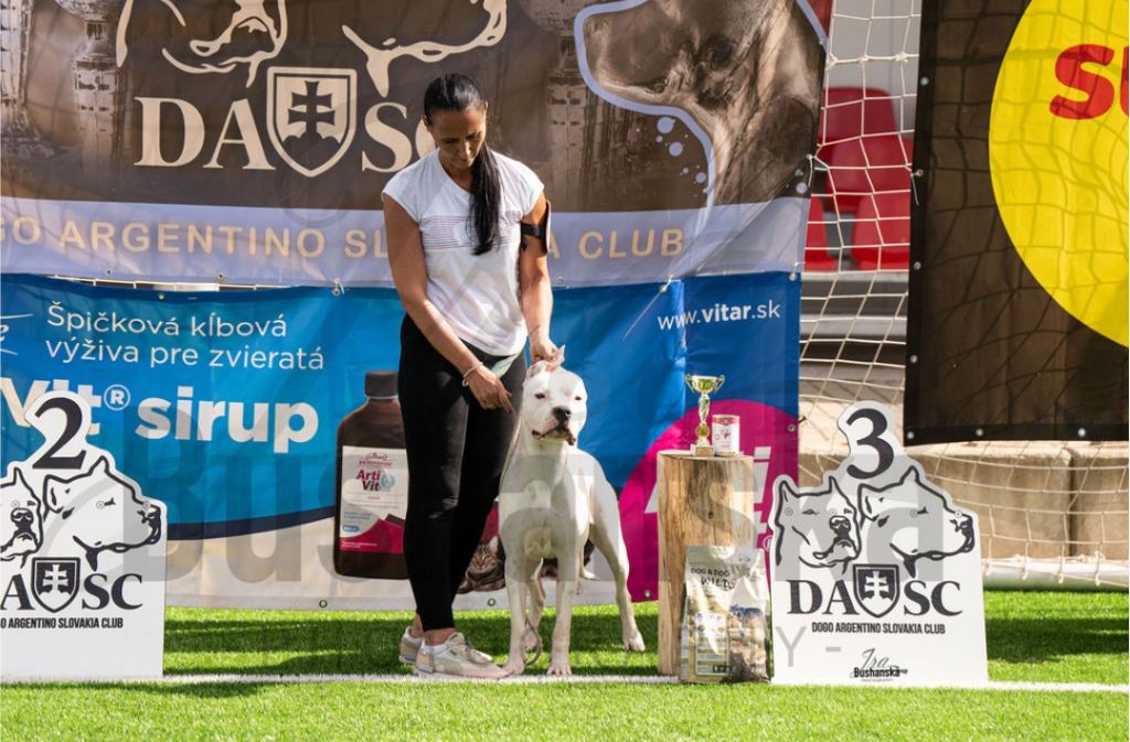 Va xiomara del Pachanka - 3 eme excellent sur 14 femelles