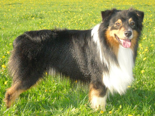 Publication : du Chemin de la Lune aux Reves