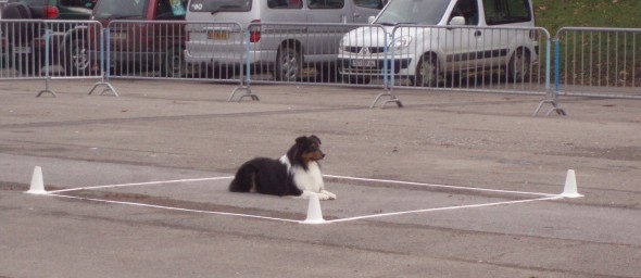 Publication : du Chemin de la Lune aux Reves