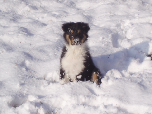 Publication : du Chemin de la Lune aux Reves