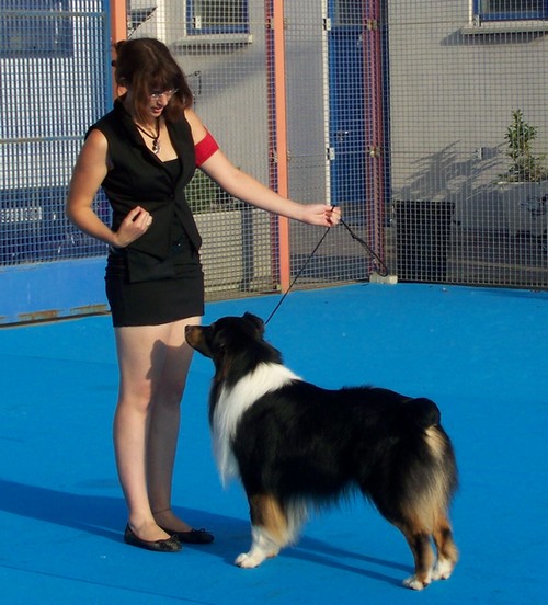 Publication : du Chemin de la Lune aux Reves