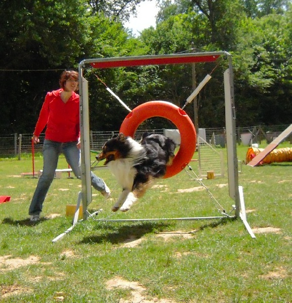 Publication : du Chemin de la Lune aux Reves