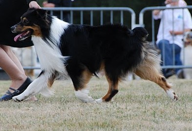 Publication : du Chemin de la Lune aux Reves