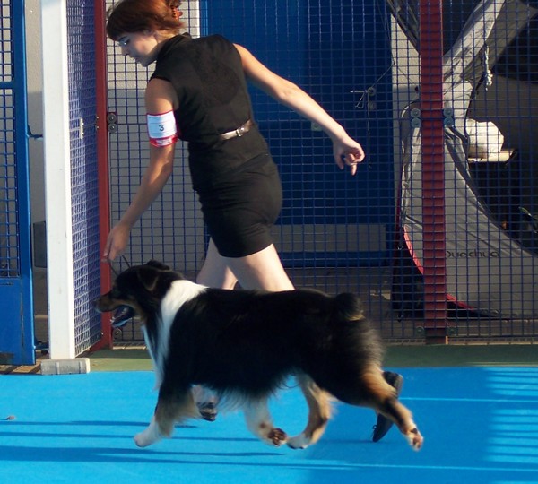 Publication : du Chemin de la Lune aux Reves