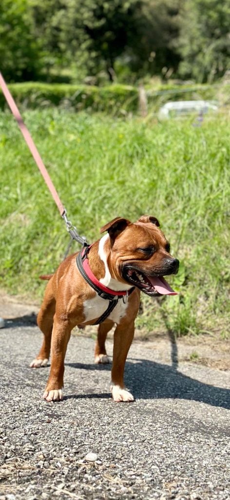 Publication : Des Gardiens De Malléa