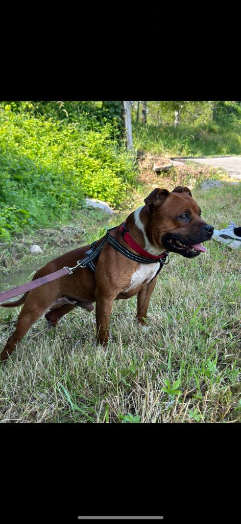 Publication : Des Gardiens De Malléa