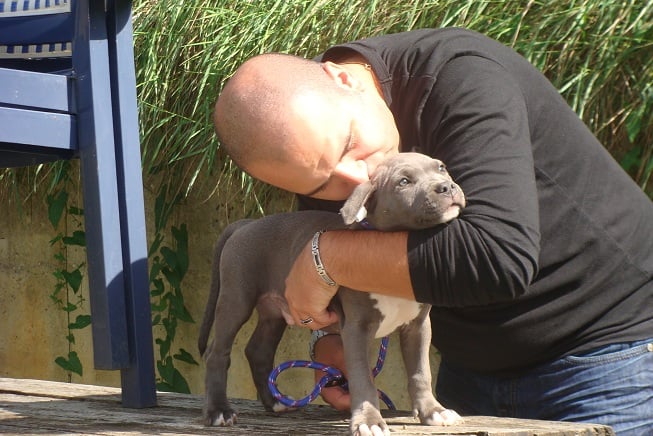 Publication : Des Gardiens De Malléa Auteur : Dominique RIBEIRO