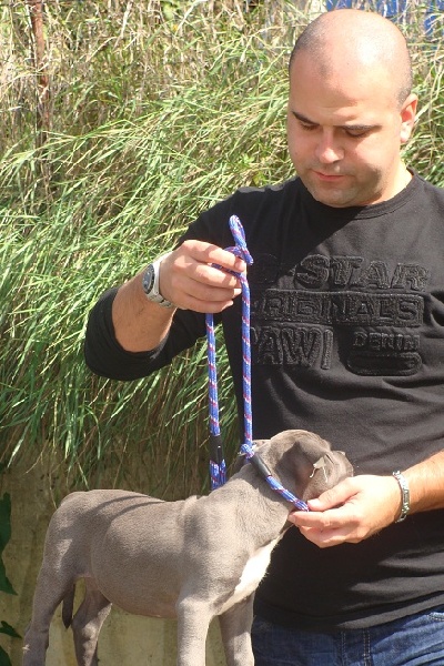 Publication : Des Gardiens De Malléa Auteur : Dominique RIBEIRO