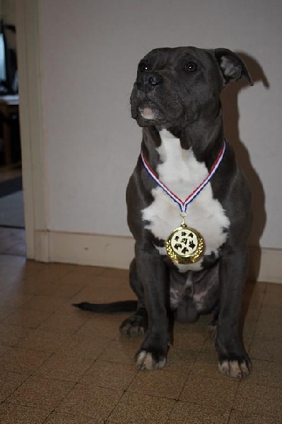 Publication : Des Gardiens De Malléa Auteur : Dominique RIBEIRO