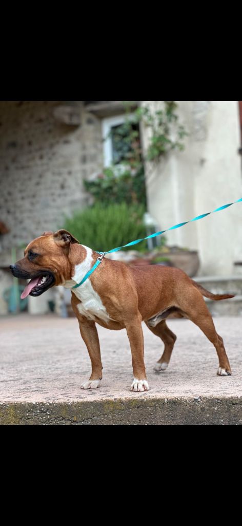 Publication : Des Gardiens De Malléa