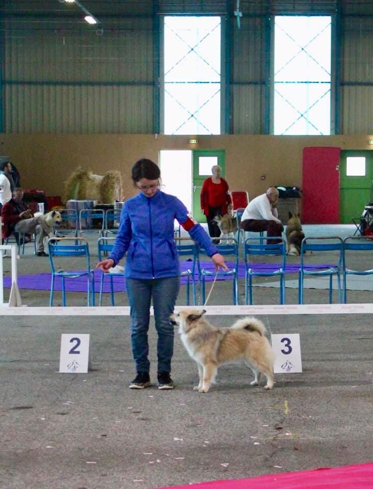 Nice Du Camp Raquet - 1er excellent classe intermédiaire femelle - RCACS