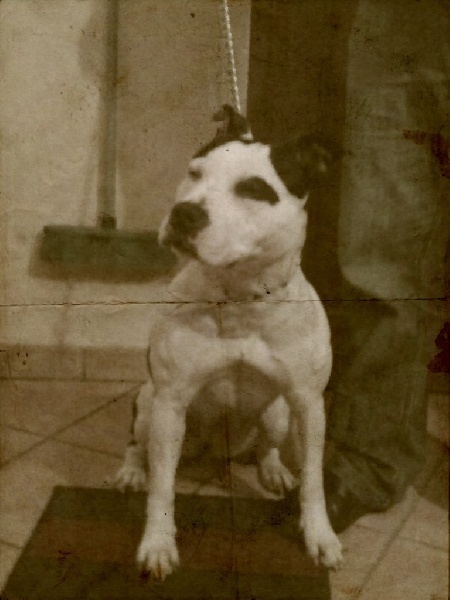 Publication : Blue-diamond's Auteur : Blue Diamond's