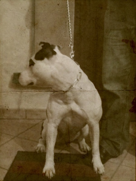 Publication : Blue-diamond's Auteur : Blue Diamond's