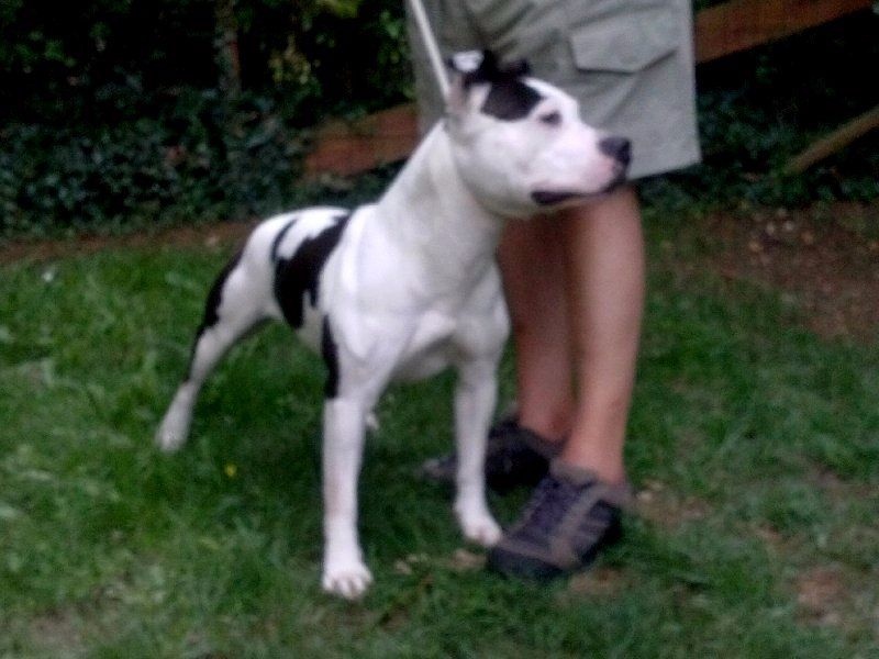 Publication : Blue-diamond's Auteur : Blue Diamond's