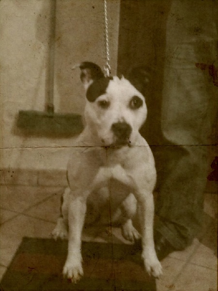 Publication : Blue-diamond's Auteur : Blue Diamond's