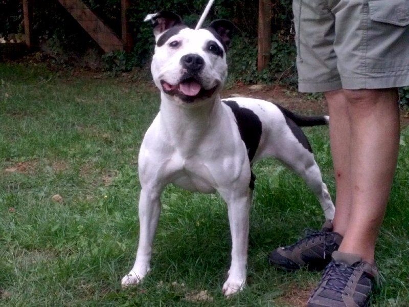 Publication : Blue-diamond's Auteur : Blue Diamond's