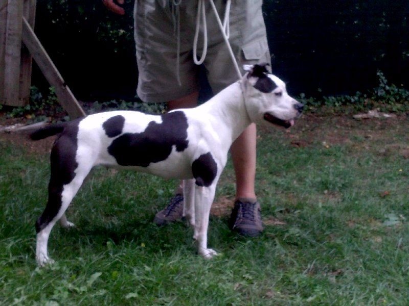 Publication : Blue-diamond's Auteur : Blue Diamond's