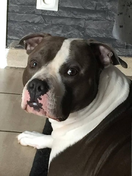 Publication : Blue-diamond's