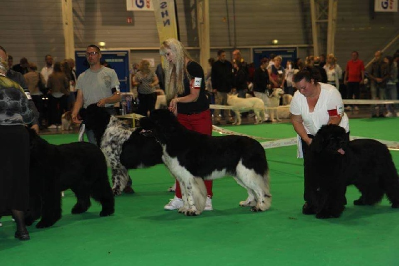 H'altesse your wishes are orders Du puy de vendègre - deuxième