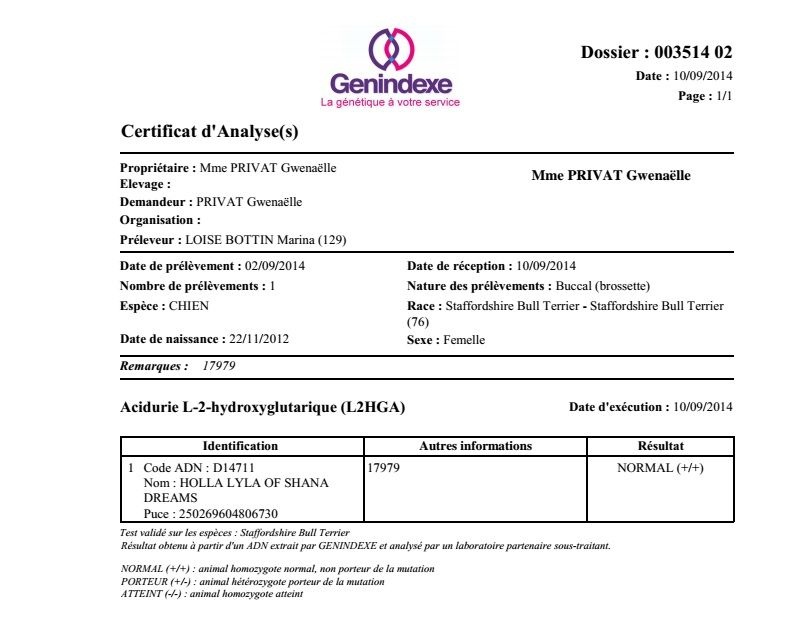 Publication : Of Fana Neyla Elegance