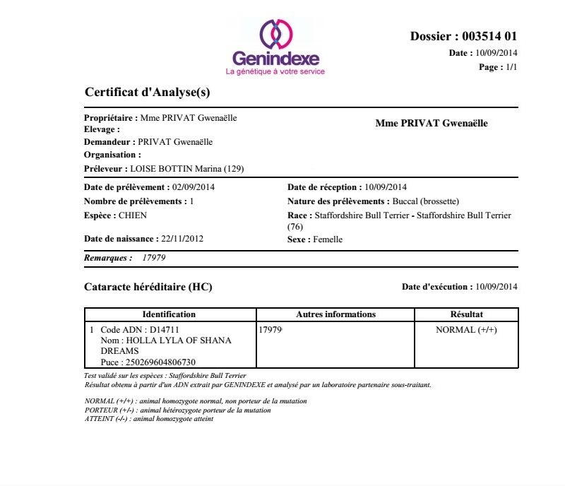 Publication : Of Fana Neyla Elegance