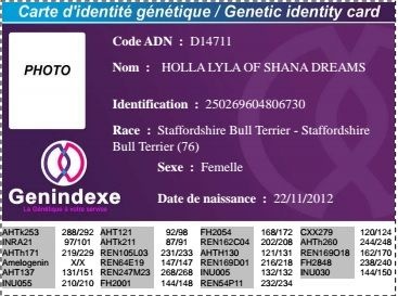 Publication : Of Fana Neyla Elegance