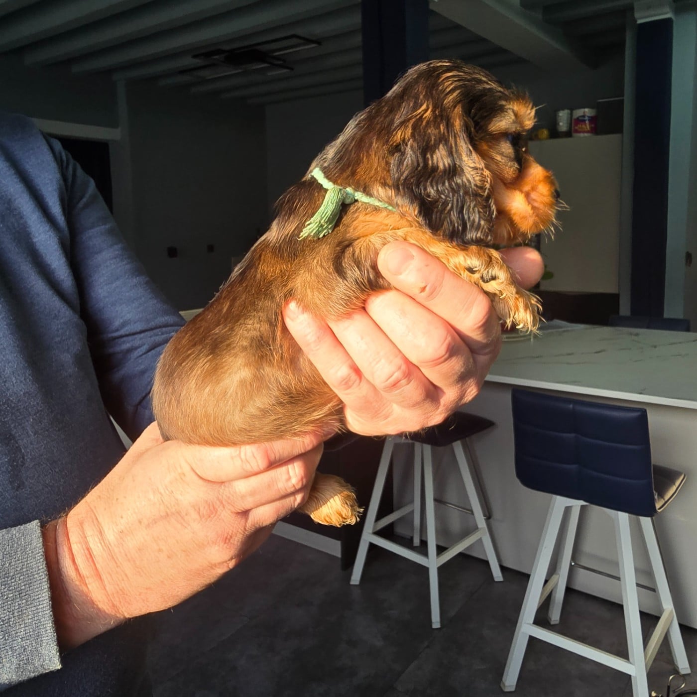 FILLE CHOCO FEU ZIBELINE