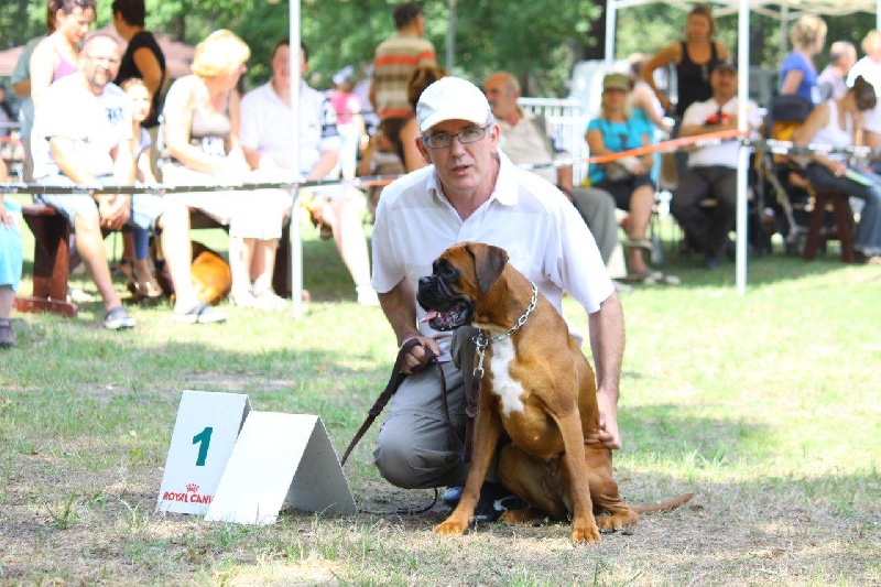 Fuji de la Mare du Carreau - 1ère Très bon Junior