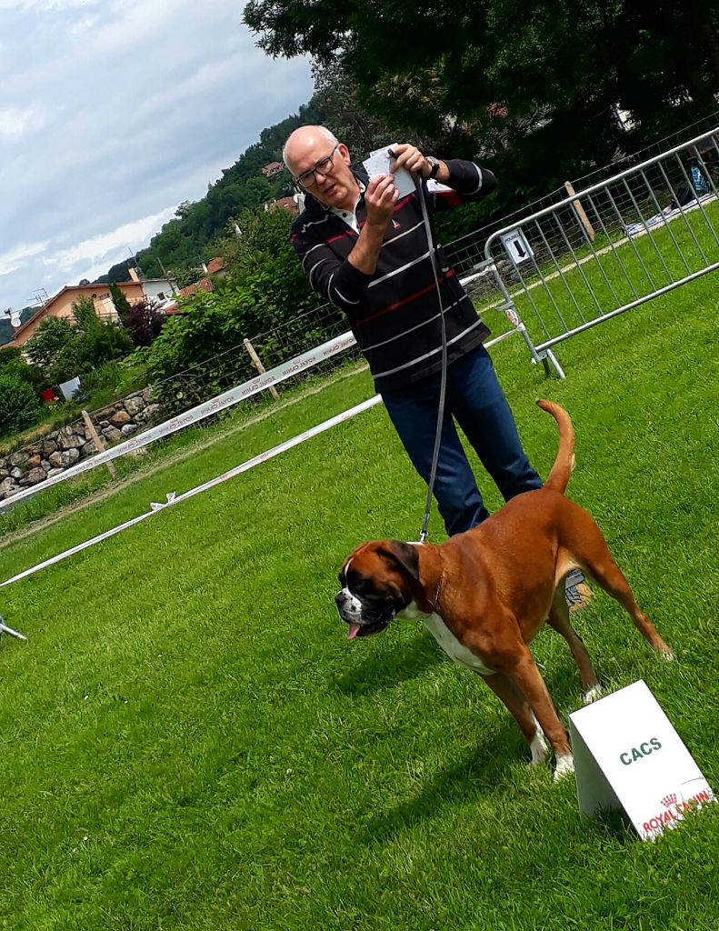 Moëli dit margot De La Colline Aux Crocs D'or - CACS 1ERE EXCELLENT MEILLEURE DE RACE