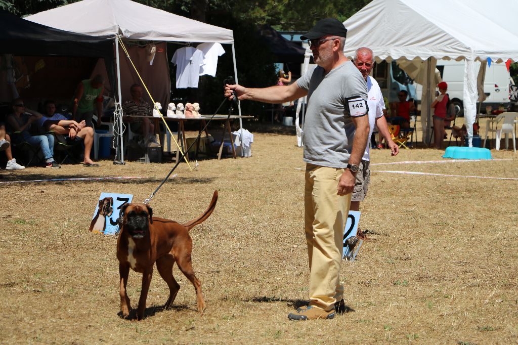 Fuji de la Mare du Carreau - EXCELLENT / CLASSE SENIOR