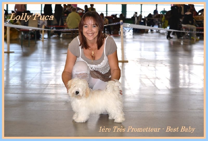 Lollypuca des Amours Du Soleil - 1ère Très Prometteur - Meilleur Bébé