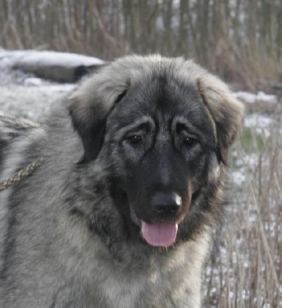 Publication : Du Gardien De Velana Auteur : A.Piat