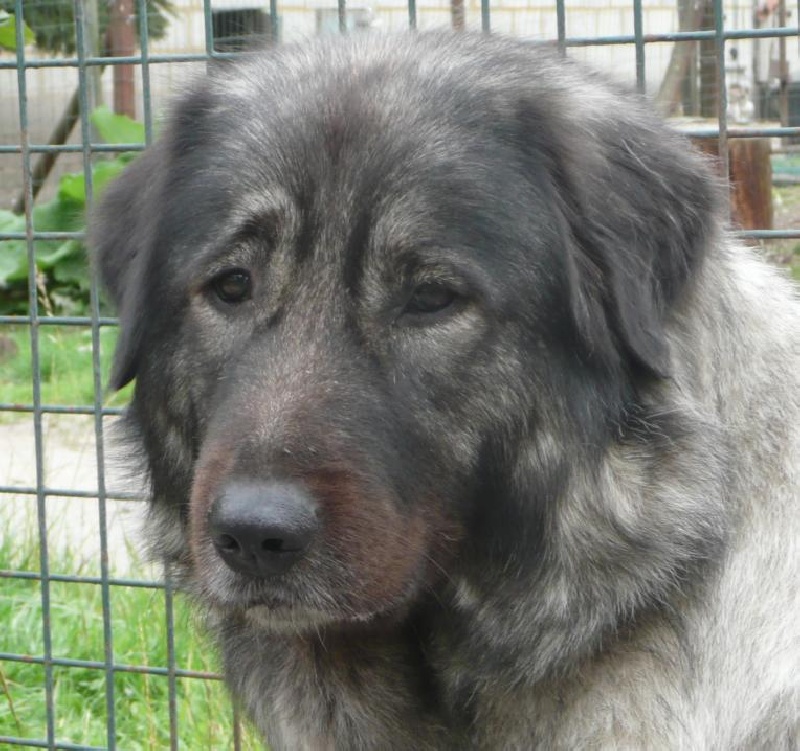 Publication : Du Gardien De Velana Auteur : A.Piat