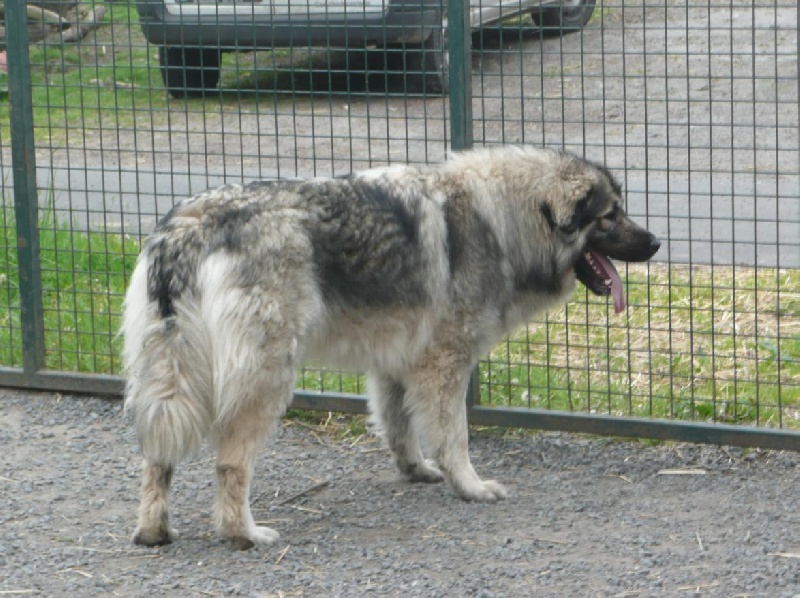 Publication : Du Gardien De Velana