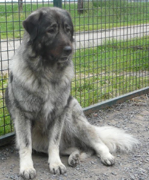 Publication : Du Gardien De Velana Auteur : A.Piat