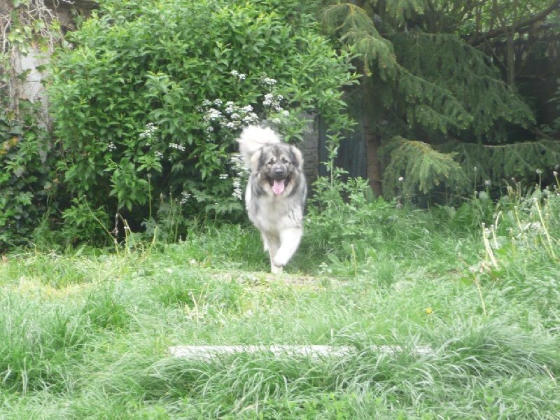 Publication : Du Gardien De Velana