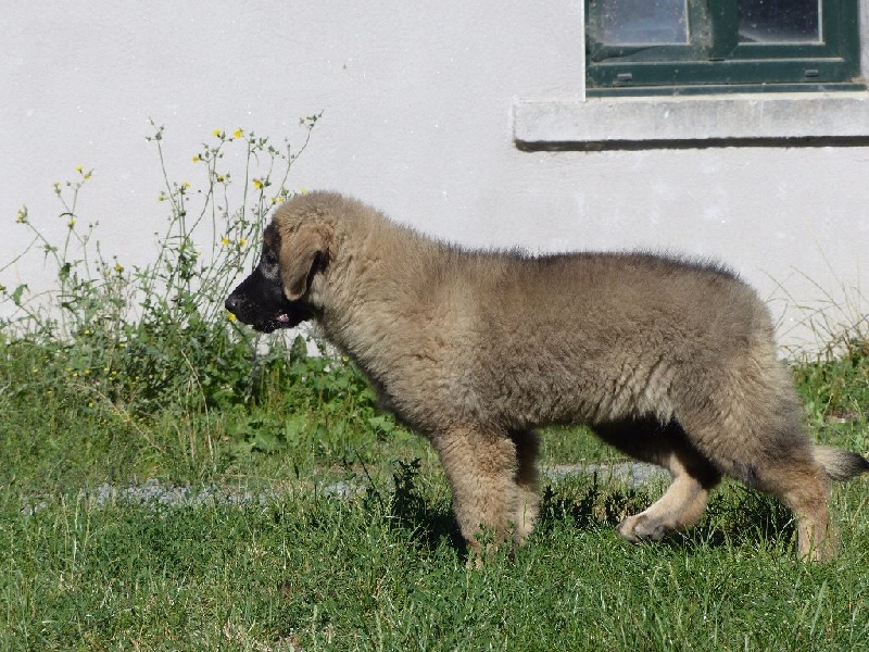 Publication : Du Gardien De Velana
