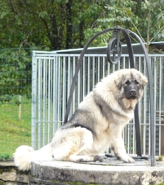 Publication : Du Gardien De Velana