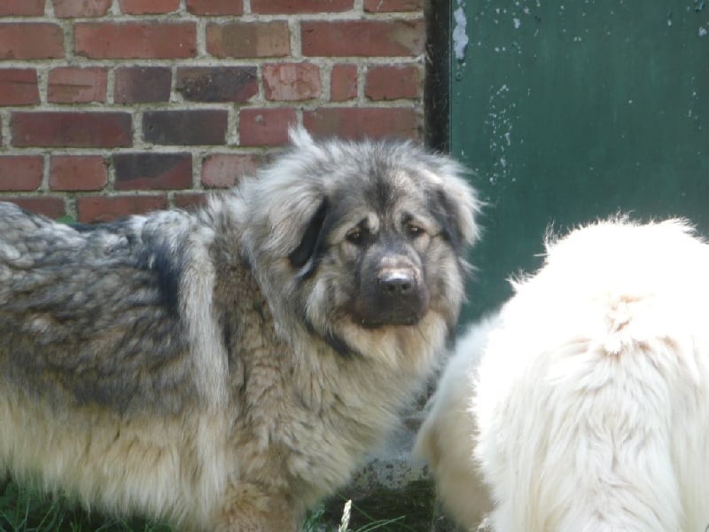 Publication : Du Gardien De Velana