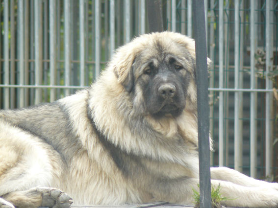 Publication : Du Gardien De Velana